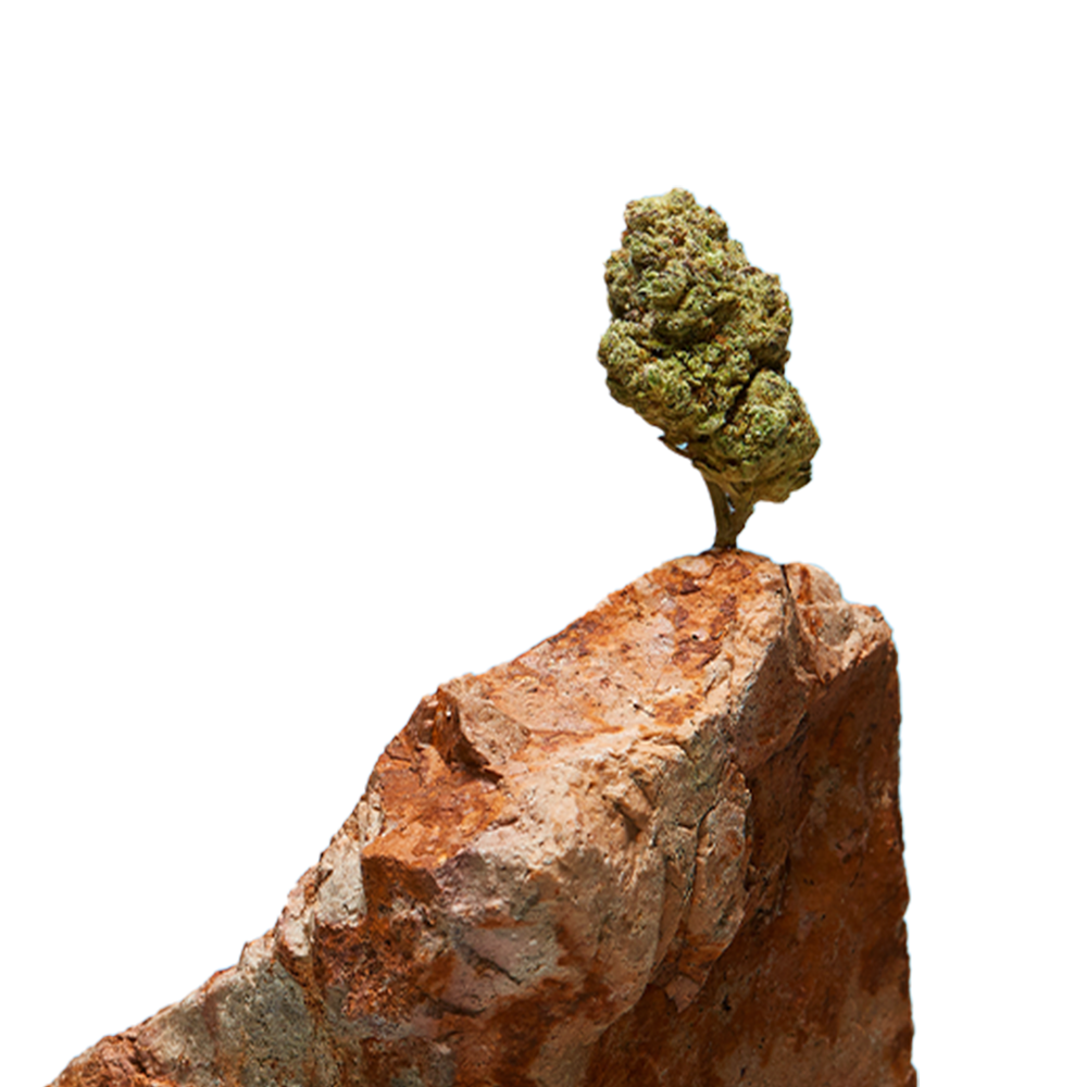 Nugonrock-1-1