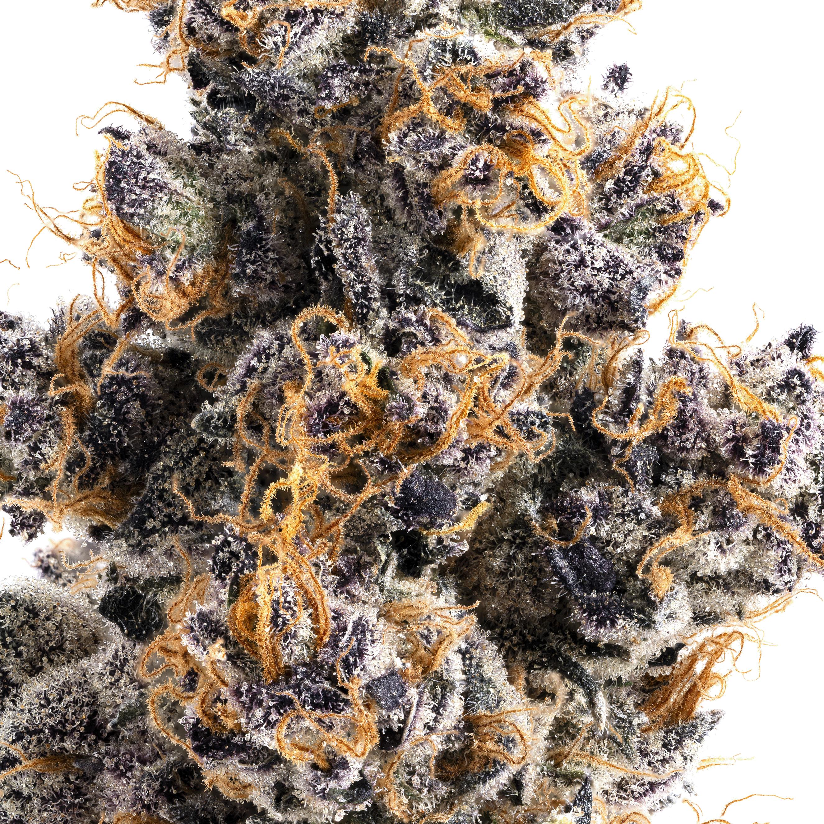 Lumpy's Flowers - Lumpy's Flowers | Jane Dough | 3.5g Glass Jar - 1