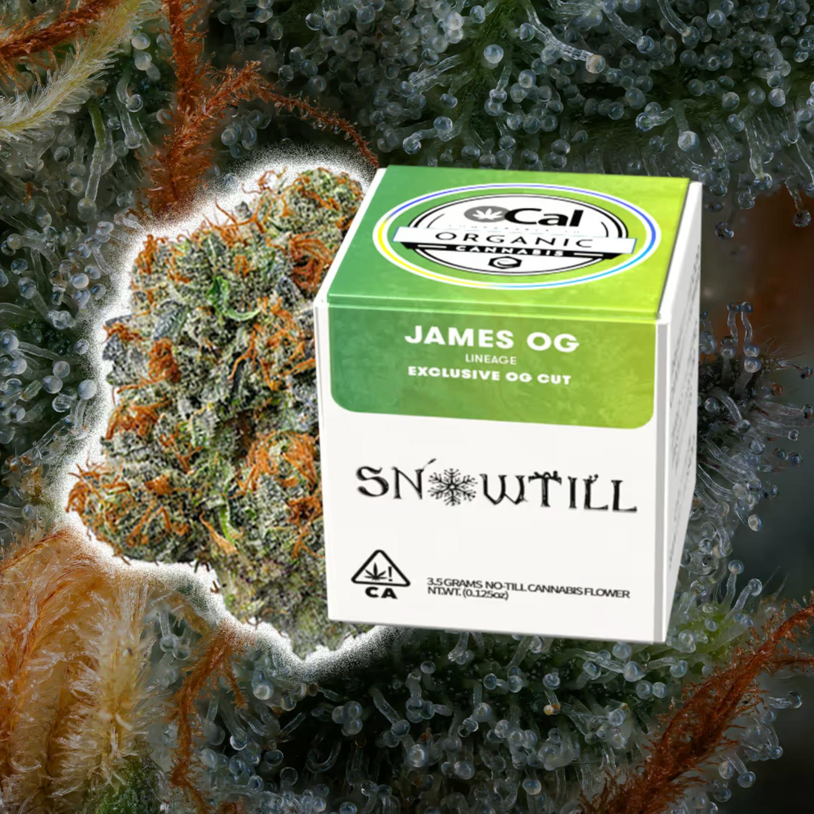 Snowtill - James OG | Big Buds | 3.5g - 1