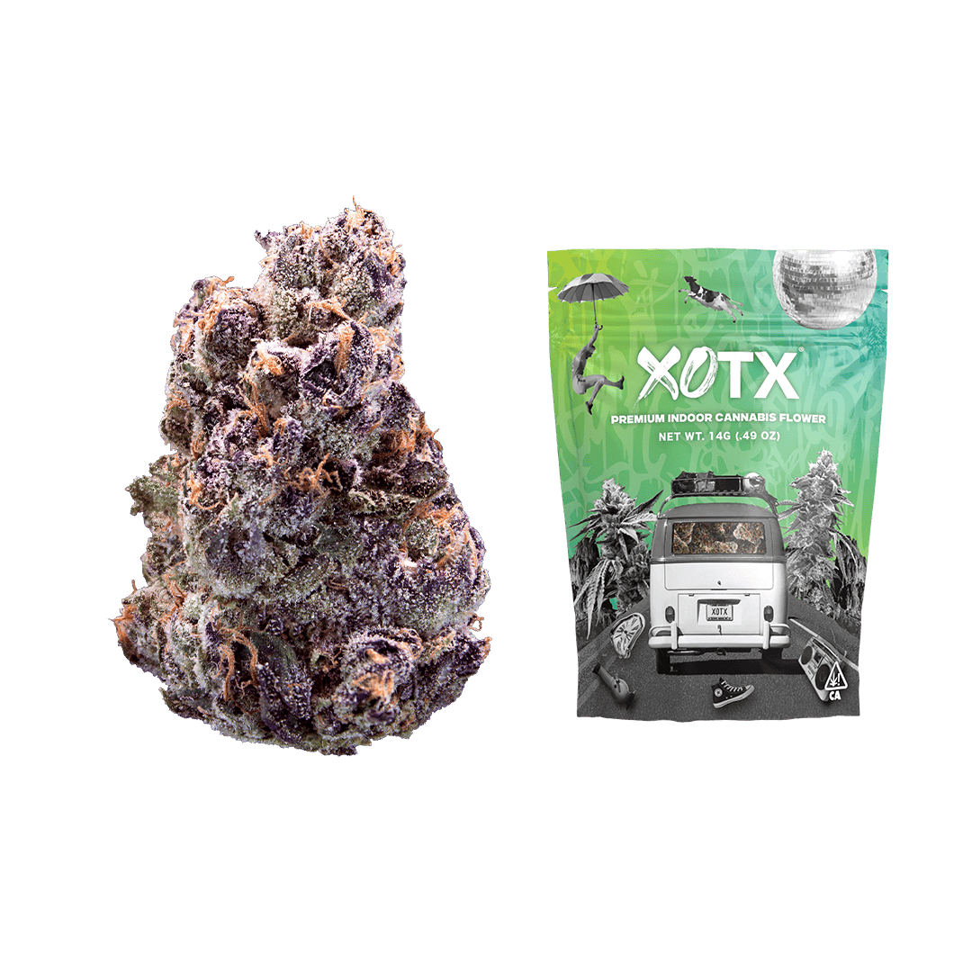 XOTX - Maraschino Lemon Pop 14G - 1