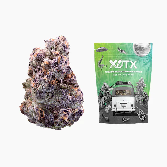 XOTX - Maraschino Lemon Pop 14G - 1