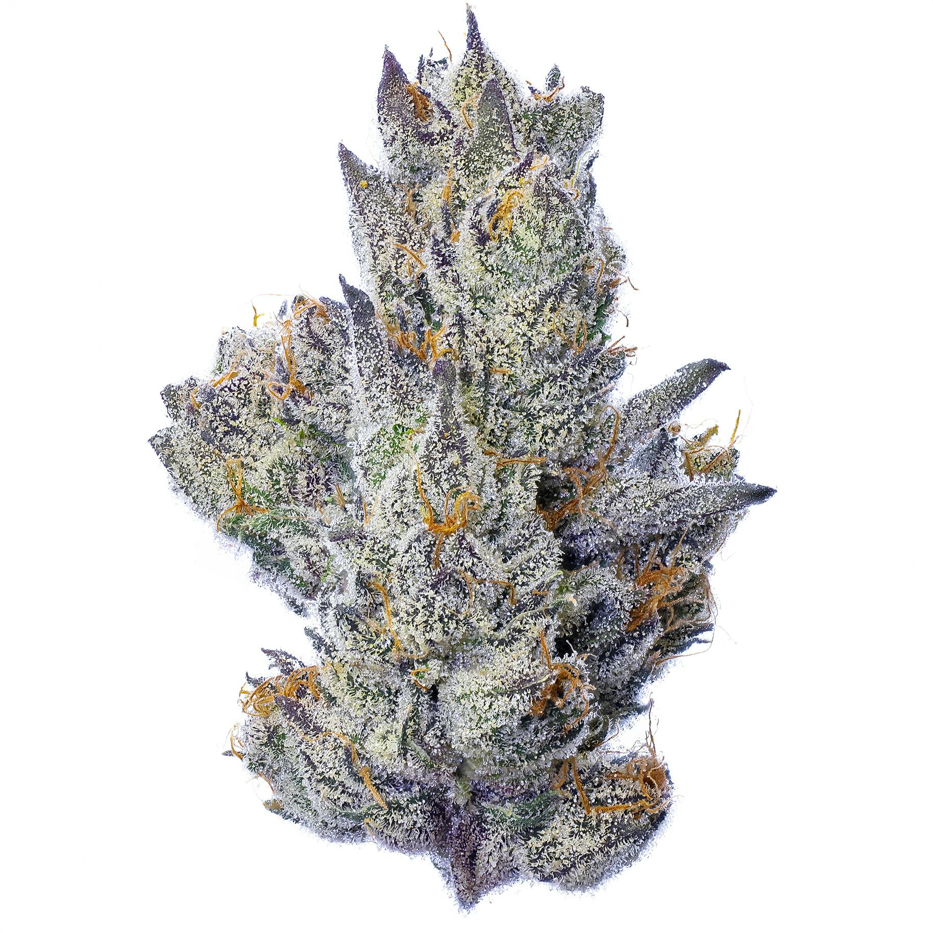 Fig Farms - Fig Farms | Guavascotti | Big Buds - 1