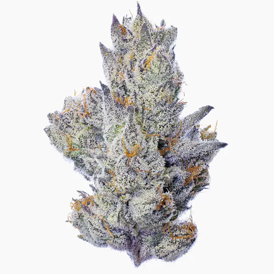 Fig Farms - Fig Farms | Guavascotti | Big Buds - 1