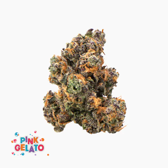 Traditional - Traditional | Pink Gelato | Minis | 5g - 1