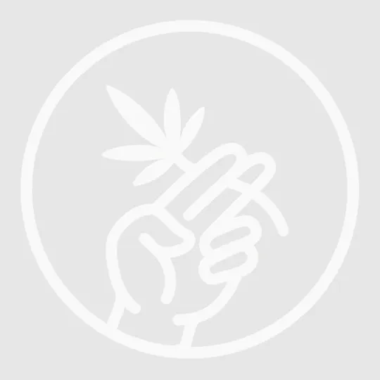 We Grow - Jack Herer | BADBOYZ Infused Joint | 1g - 1