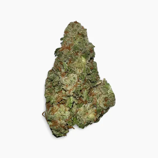 Indico - Bridesmaid - In And Out of the Garden We Grow - 1