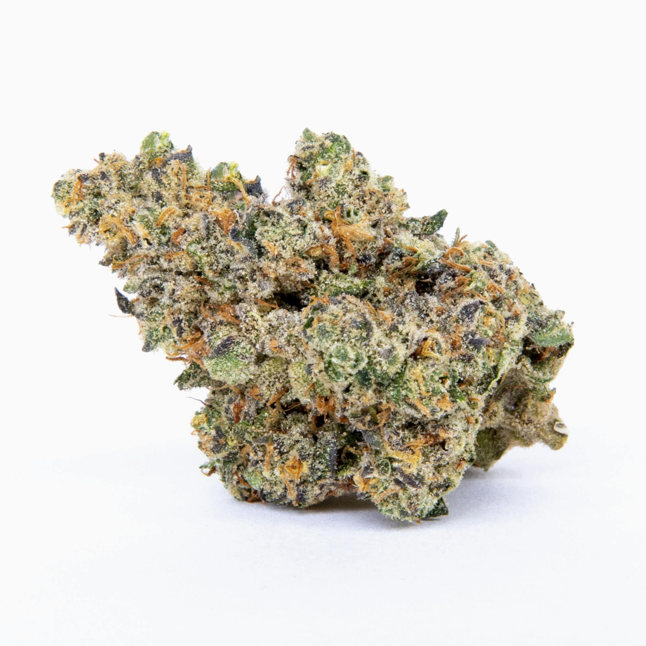 Pure Beauty - Spritzer | 14.17g Indoor - 1