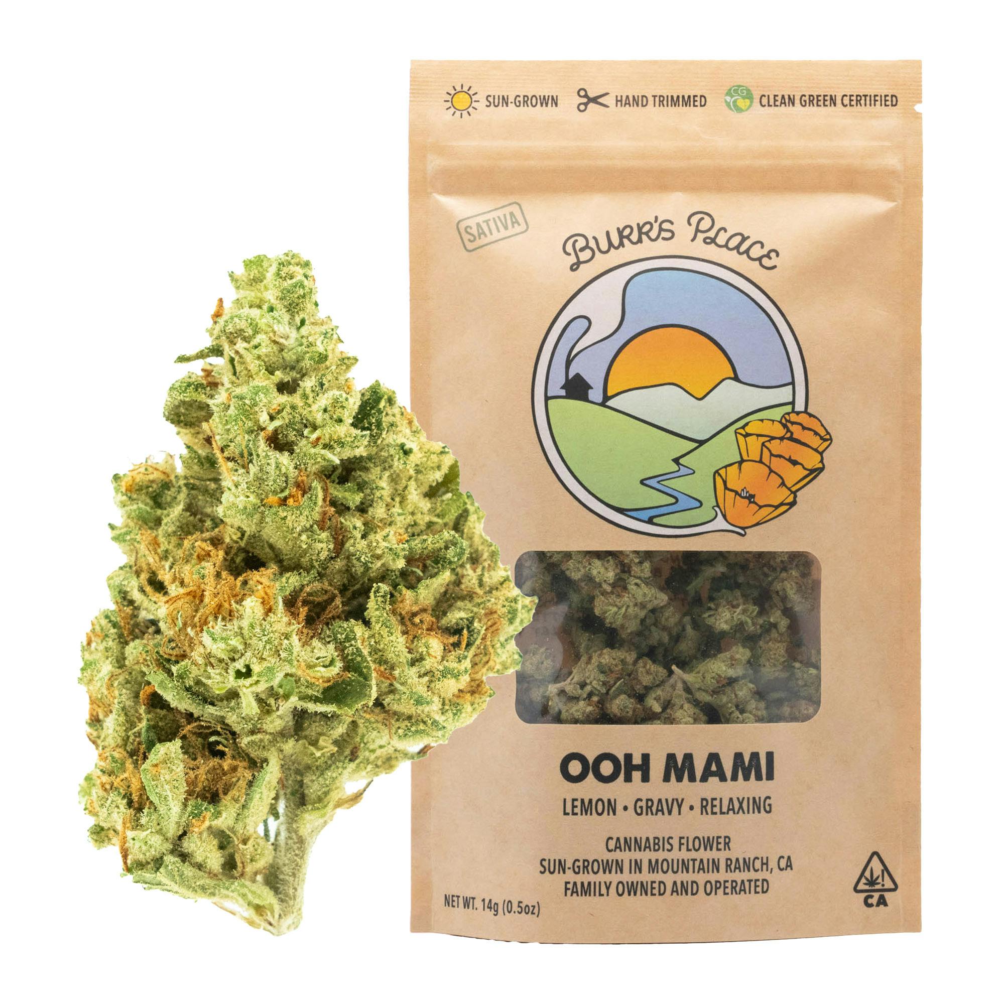 Burr's Place - Ooh Mami | Big Buds | 14g - 1
