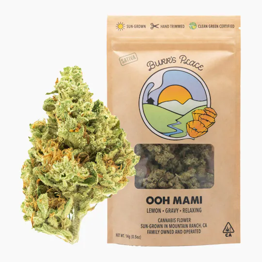 Burr's Place - Ooh Mami | Big Buds | 14g - 1