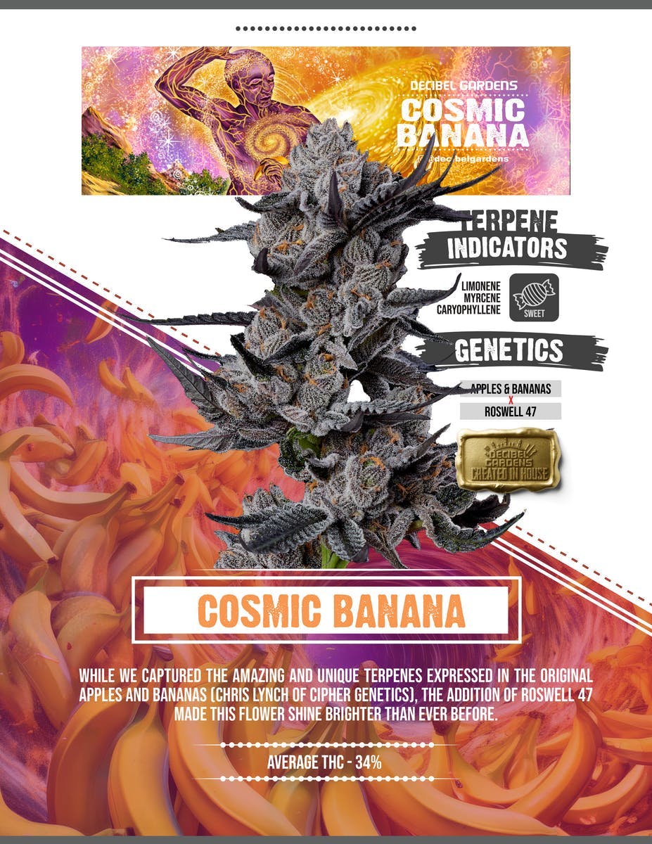 Decibel Gardens - Cosmic Banana | Smalls | 14g - 1