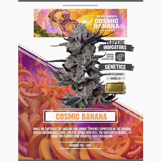 Decibel Gardens - Cosmic Banana | Smalls | 14g - 1