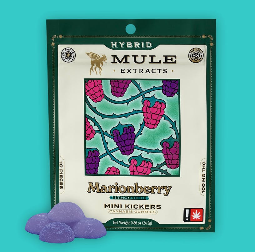Mule Extracts - Marionberry 1:4 Mini Kicker Gummies | 100mg | 10ct | 10mg/ea - 1