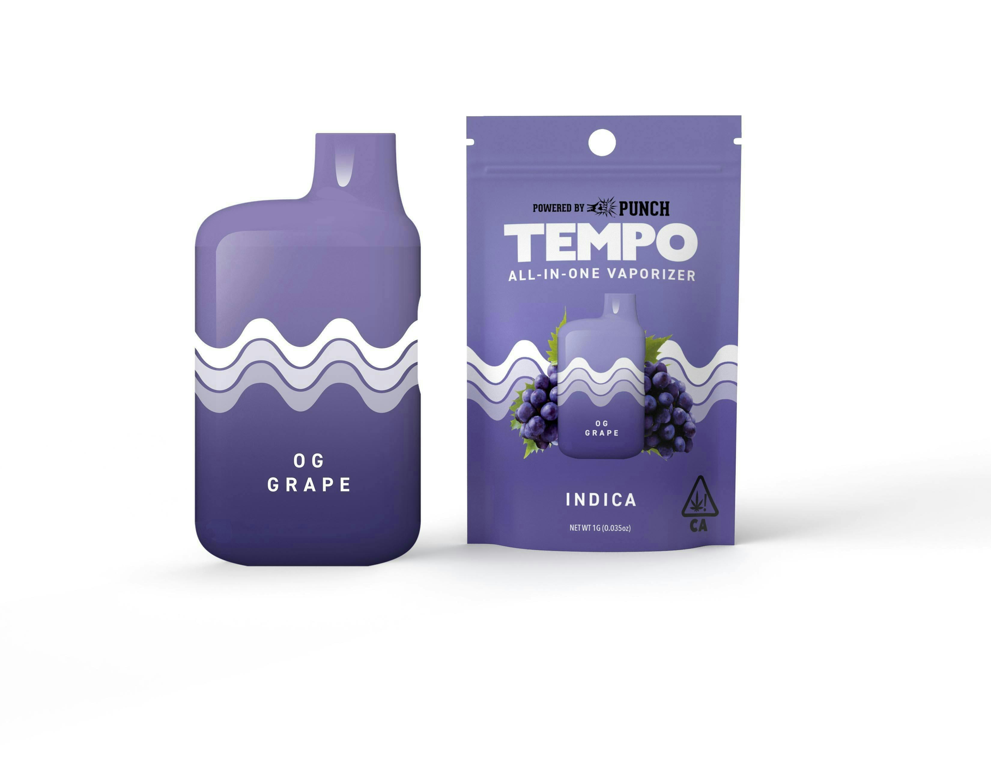Tempo - Tempo | OG Grape | AIO Disposable | 1g - 1