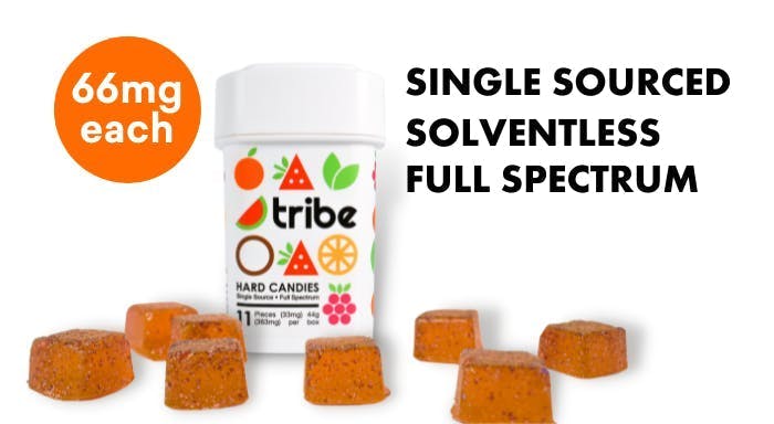 Tribe - Tribe | Indica | Orange Edibles | 726mg | 11ct | 66mg/ea - 1