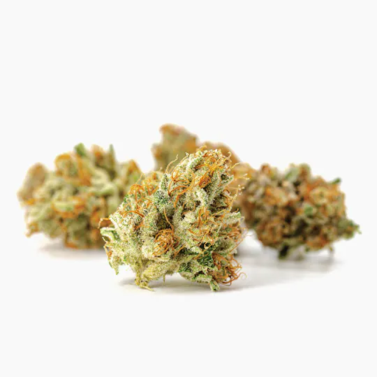 Claybourne Co. - King Louis OG (14g) - Small Buds - 1