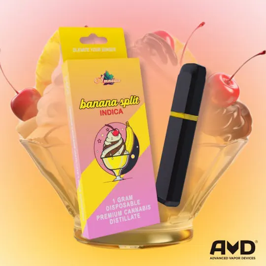 Amnesia MI - Amnesia MI | Banana Split | Disposable | 1g - 1
