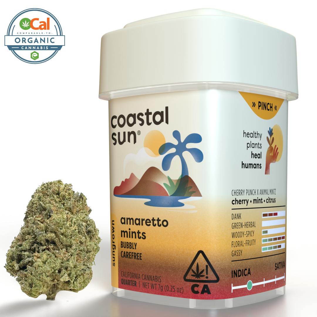 Coastal Sun - Amaretto Mints Sungrown Flower 7g - 1