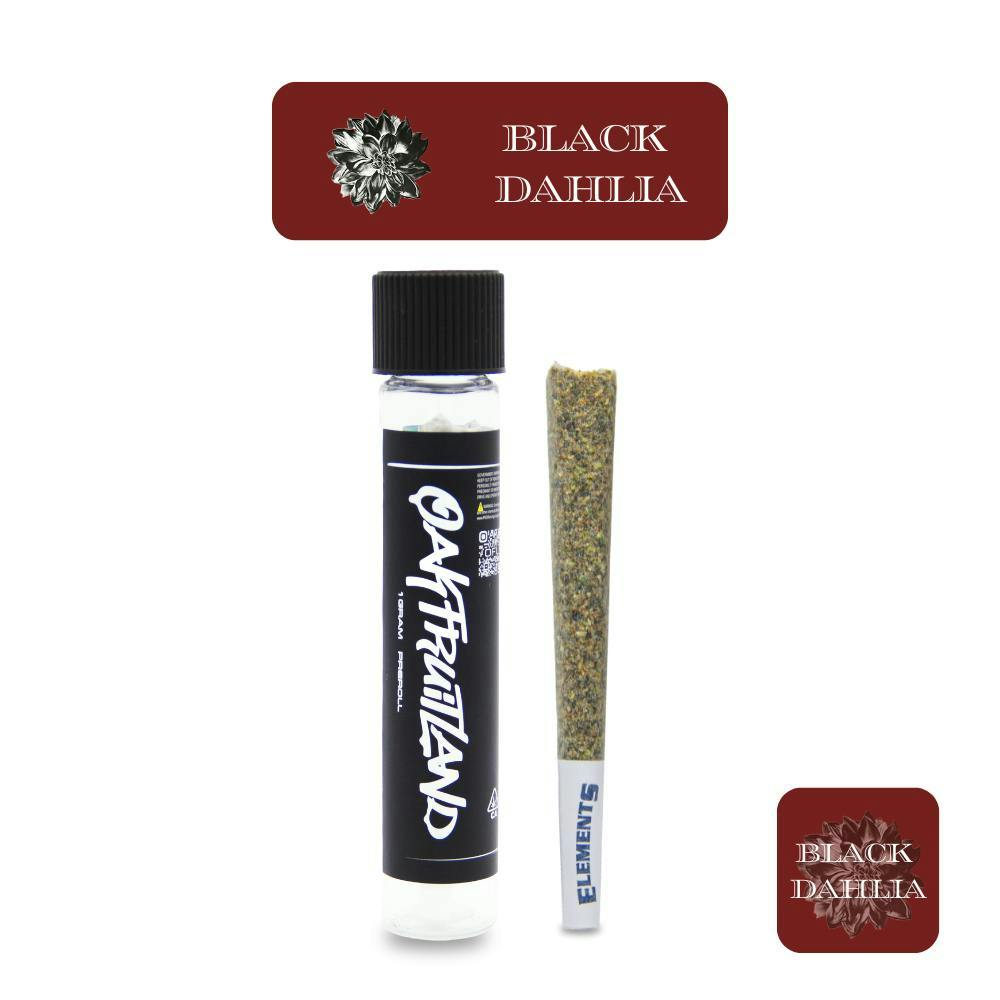 Oakfruitland (OFL) - Black Dahlia | Joint | 1g - 1