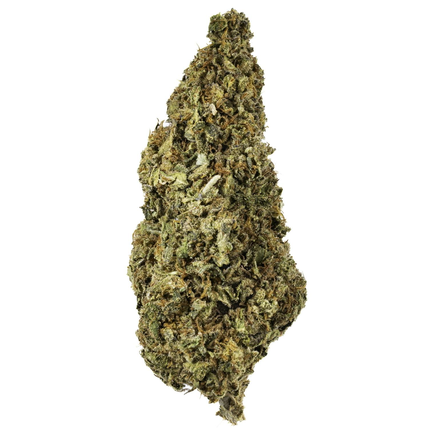 West Coast Cure - Gummy Buns - 28G Premium Flower - 1