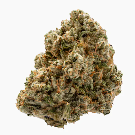 West Coast Cure - WCC OG - 3.5G Headstash Indoor Flower - 1