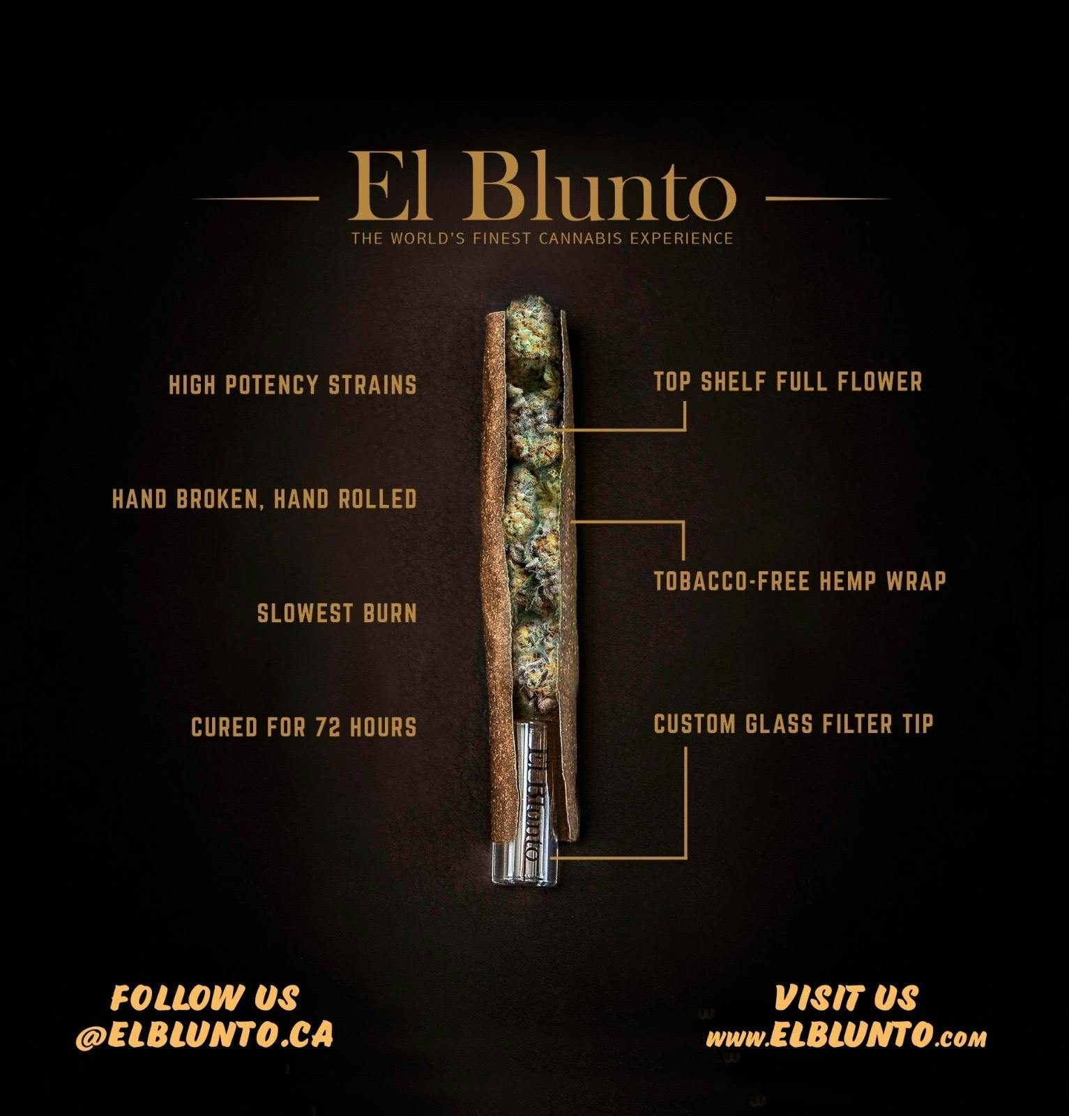 El Blunto by Albert Einstone's - El Bluntito FlavorCore - Jack Frost - Hash Infused - 3pk x .85g - 1