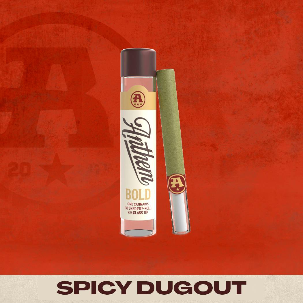 Anthem - Bold Glass Tip Infused Spicy Dugout Pre-Roll 1g - 1