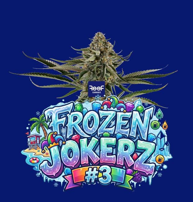 REEF Cannabis - Jokerz #3 Whole Flower - 1
