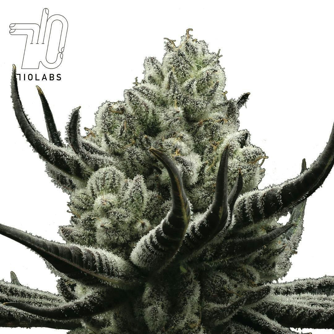 710 Labs - Cake Crasher - 14g Flower - 1
