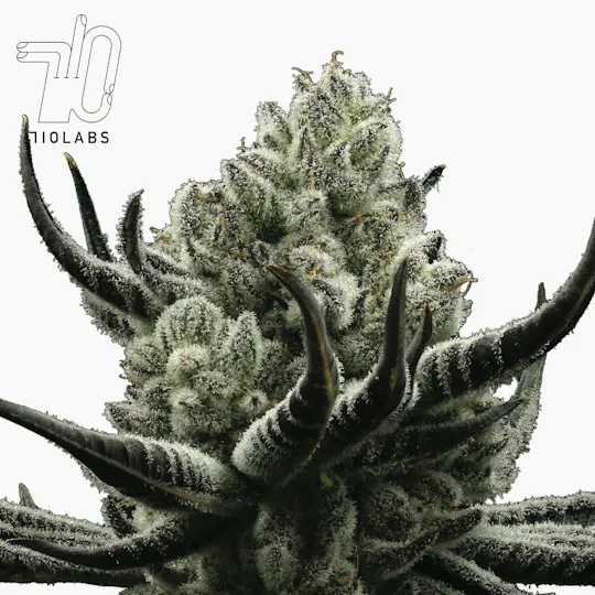 710 Labs - Cake Crasher - 14g Flower - 1
