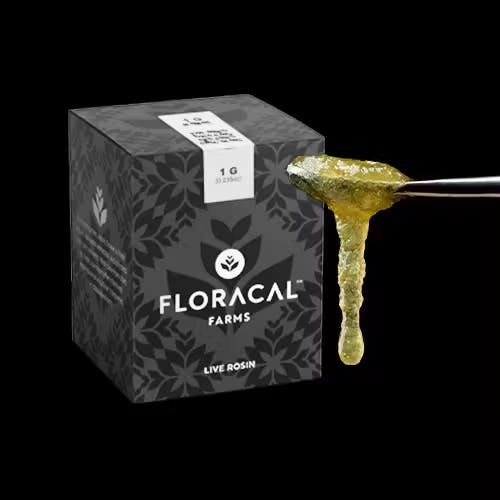 FloraCal Farms - Bitter Orange | Live Rosin Jam | 1.0g - 1