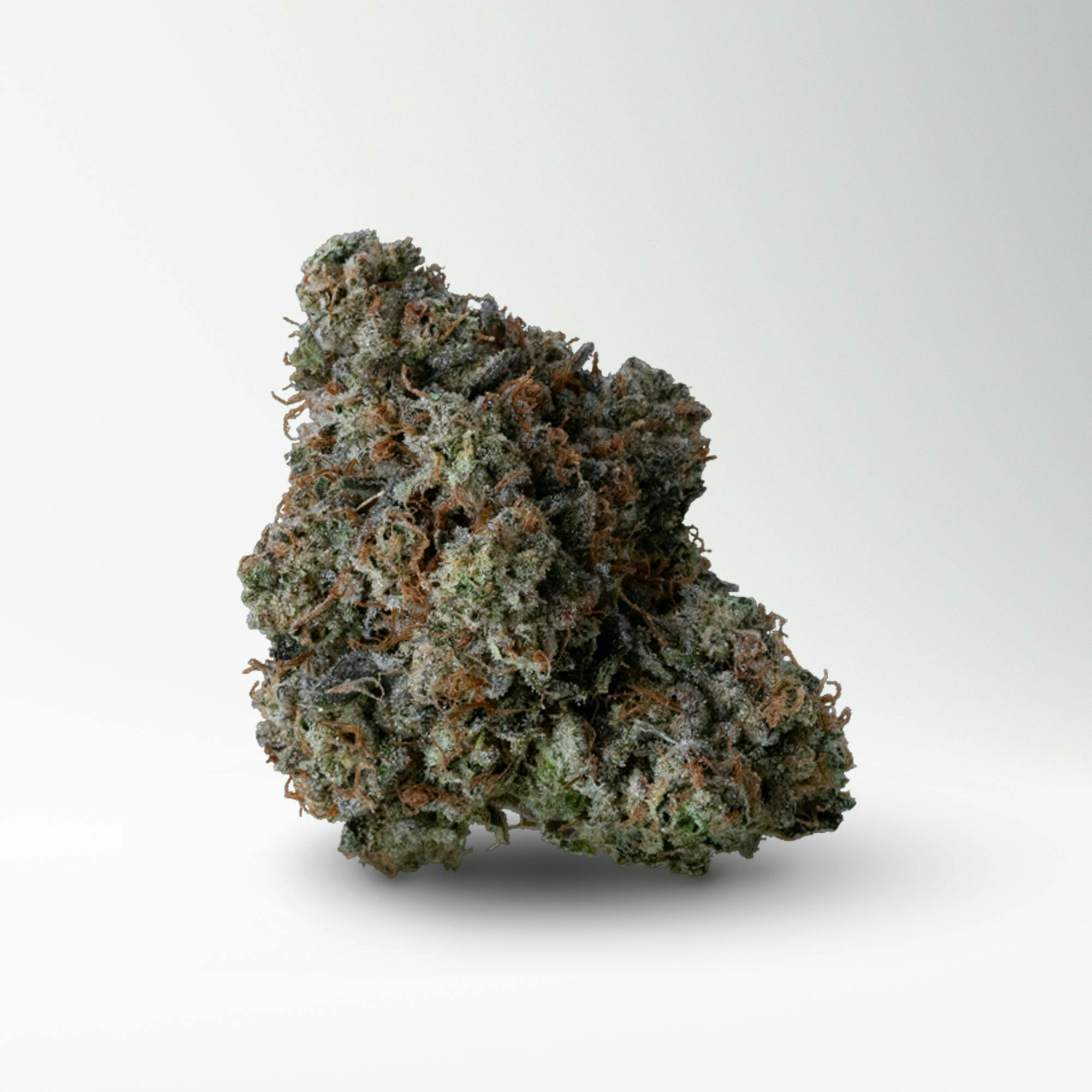 Wood Wide - Wood Wide | Headbanger | Big Buds | 3.5g - 1