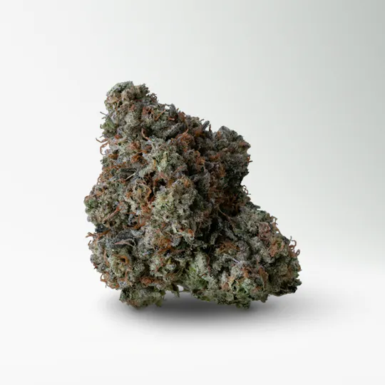 Wood Wide - Wood Wide | Headbanger | Big Buds | 3.5g - 1