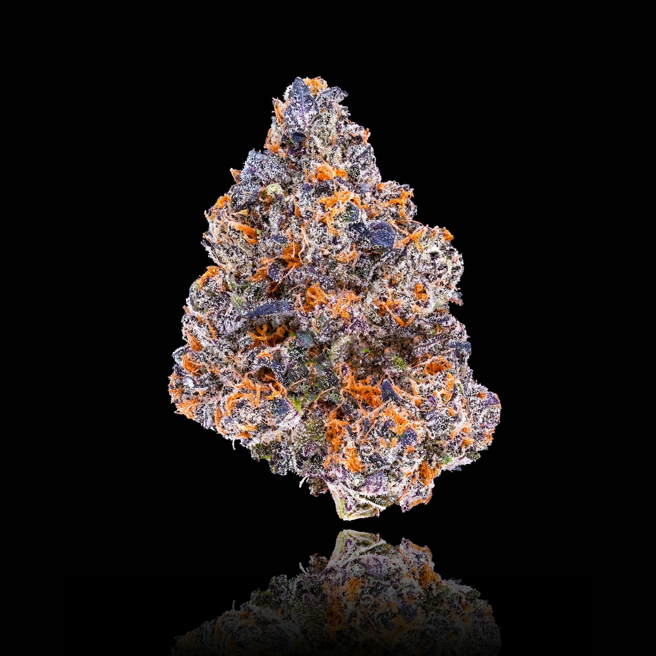 Maven Genetics - Dulce De Miel [3.5g] - 1