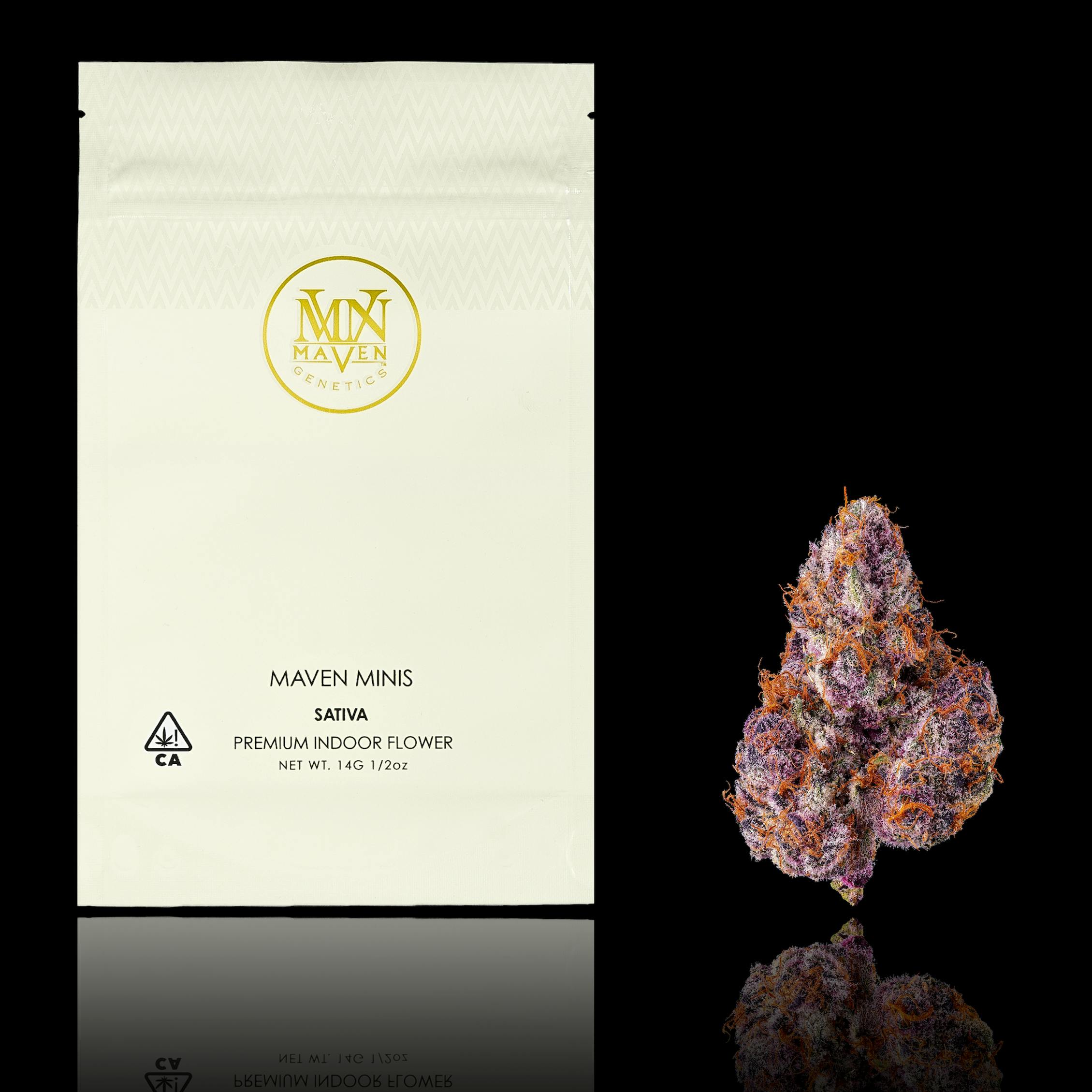 Maven Genetics - Lemon Cherry Tropicana Maven Minis [14g] - 1