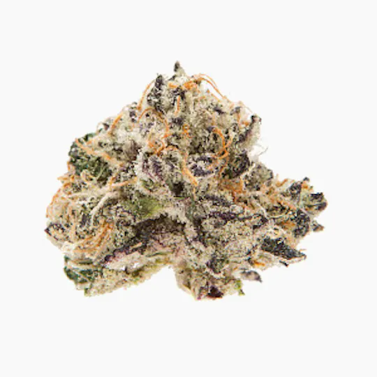 74 Suns - Gas Breath - 3.5g (Jar) Flower - 1