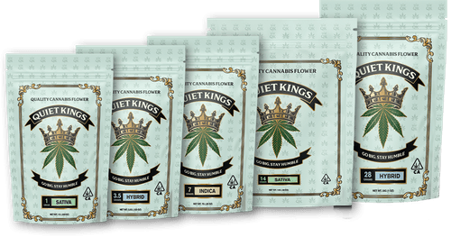 Quiet Kings - Grape Punch | Big Buds | 7g - 1