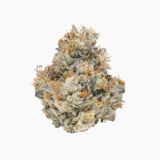 Fig Farms - Fig Farms | Lemon Cherry Gelato | Big Buds - 1