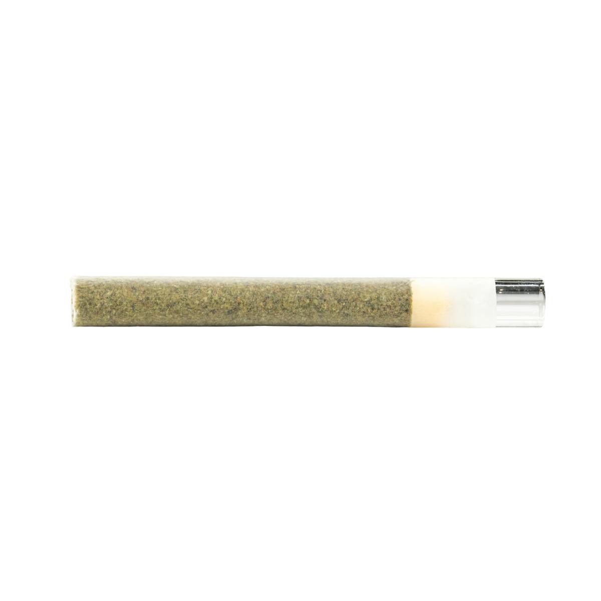 Palm Trees - Palm Trees - PTSD - Pre Roll - 2 g - 1
