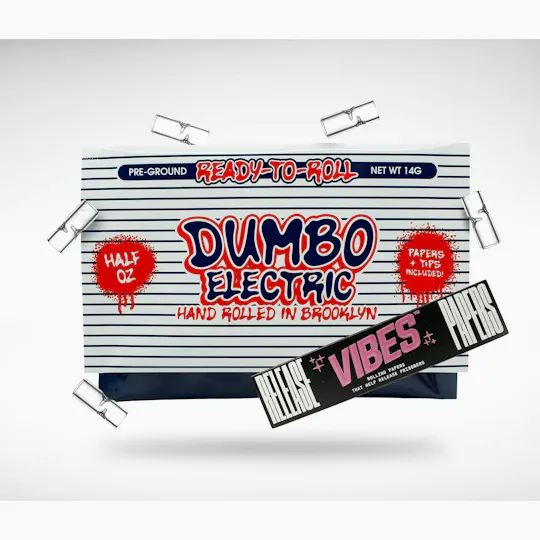 Dumbo Electric - Ghost Train | Ground | 14g - 1