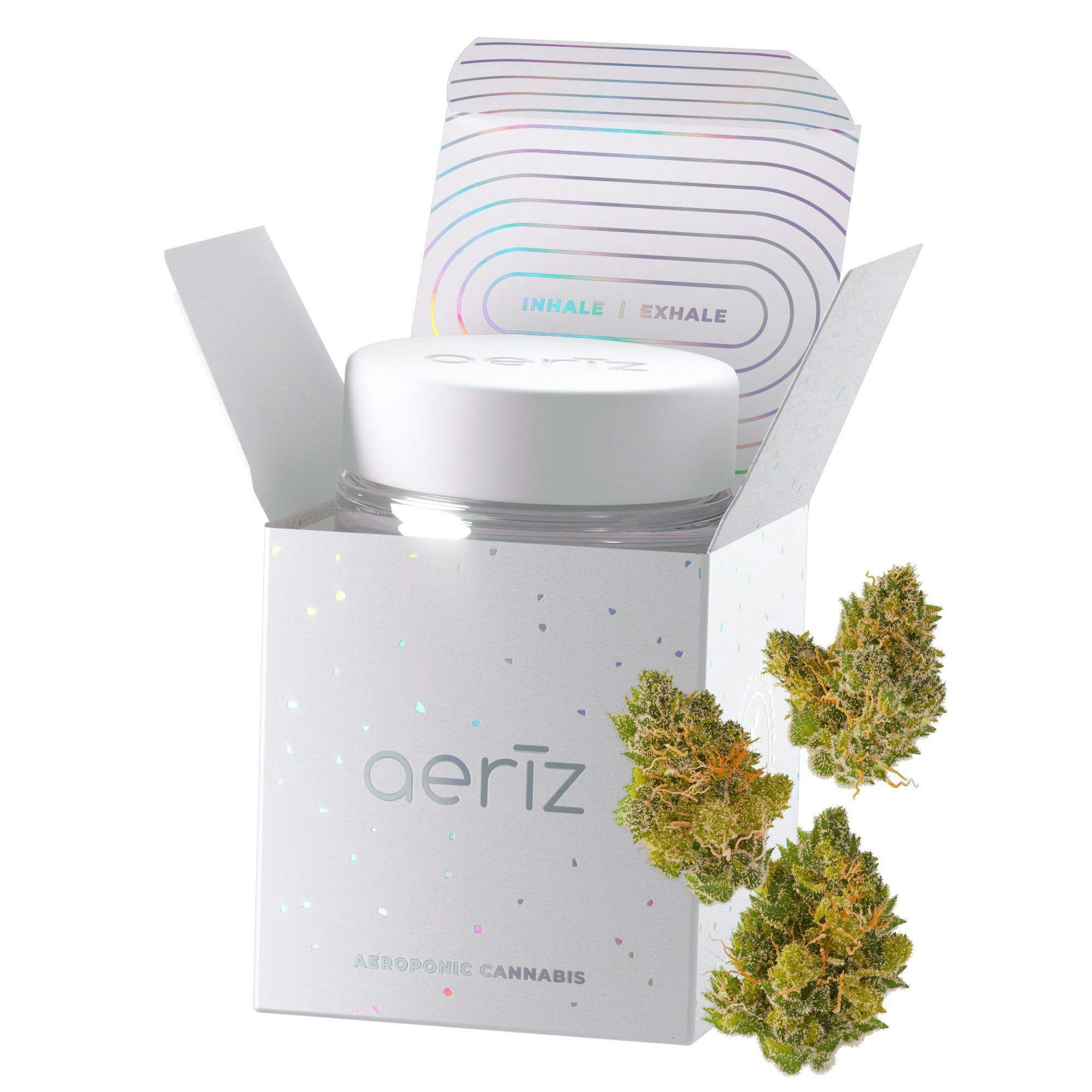 Aeriz - Jenny Kush Premier Flower [3.5g] - 1