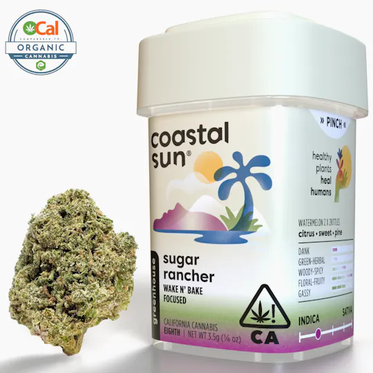 Coastal Sun - Sugar Rancher Greenhouse Flower 3.5g - 1
