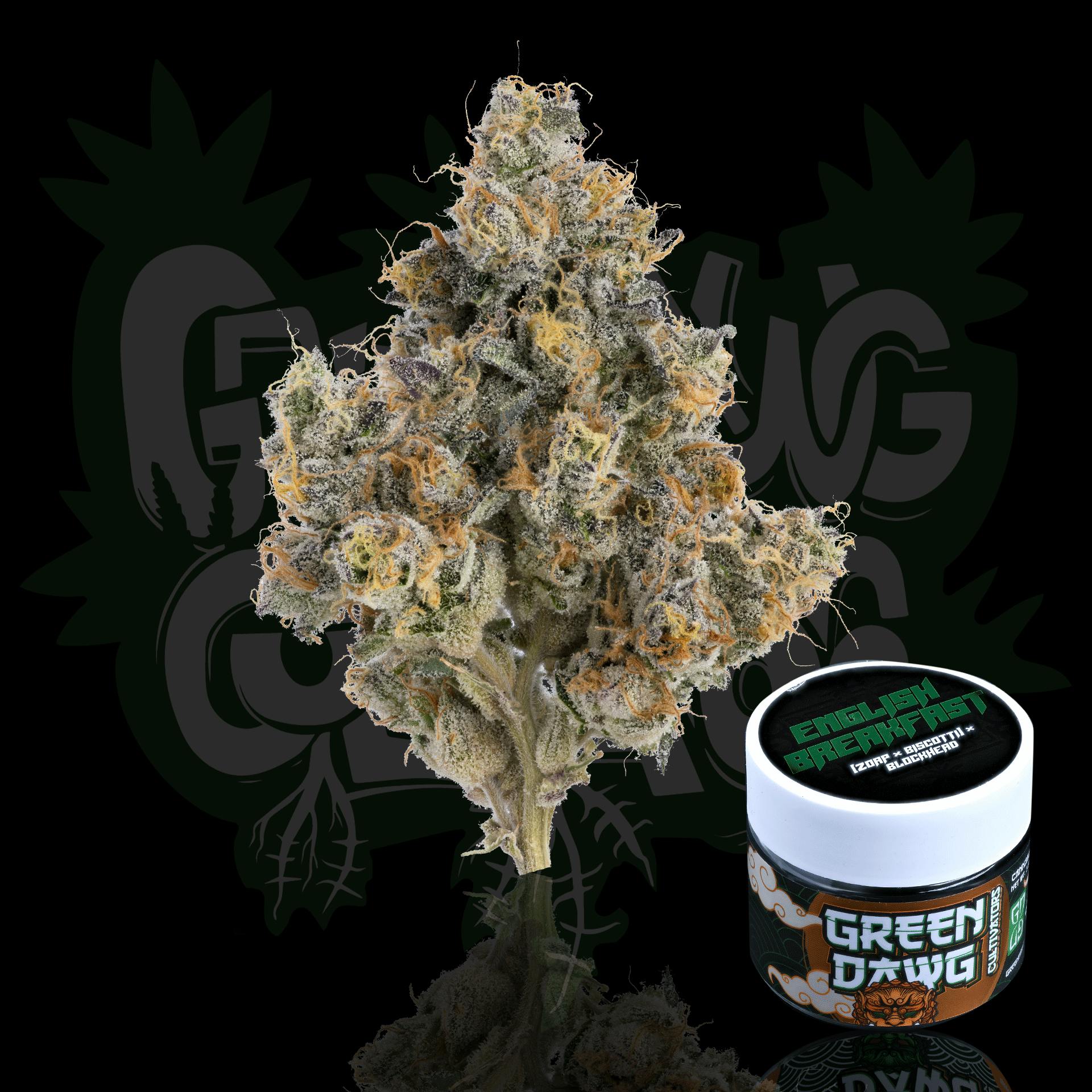 Green Dawg - English Breakfast | Big Buds | 3.5g - 1