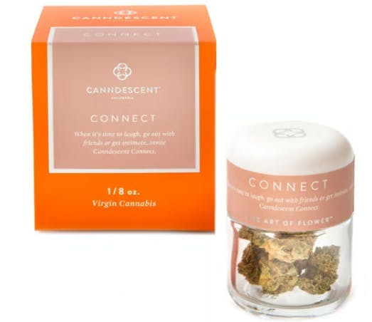 Canndescent - CONNECT | Green Flash | Big Buds | 3.5g - 1