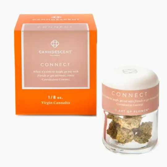 Canndescent - CONNECT | Green Flash | Big Buds | 3.5g - 1
