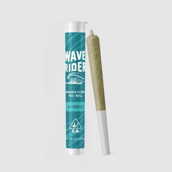 Wave Rider - Animal Mints | Joint | 1g - 1
