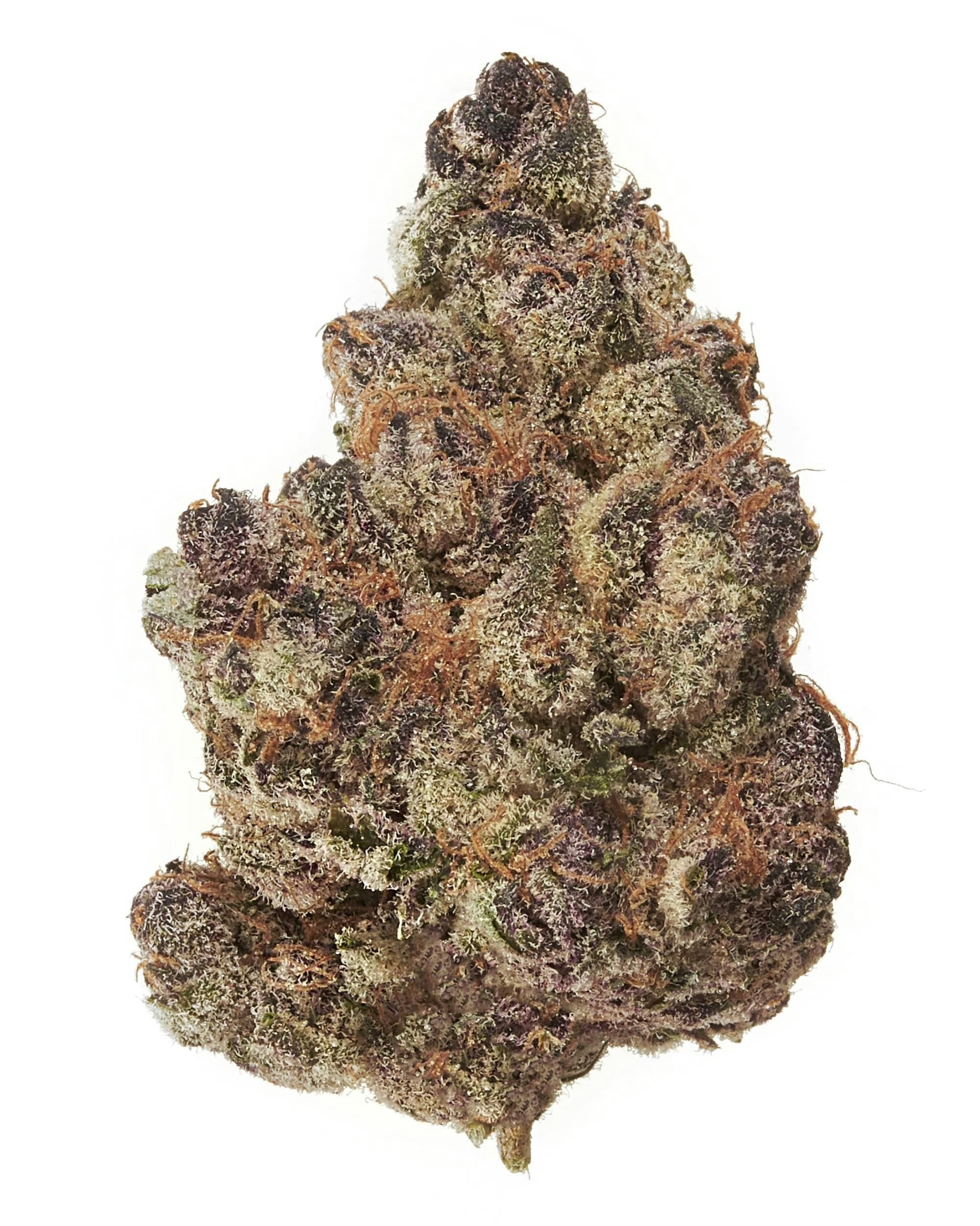Sweet Life Canna Co - HALLE BERRY (7 Gram Bag) - 1