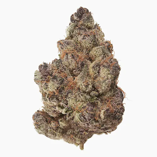 Sweet Life Canna Co - HALLE BERRY (7 Gram Bag) - 1