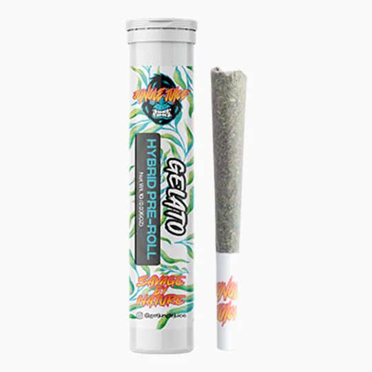 Jungle Juice - Jungle Juice | Gelato | Joint | 1g - 1