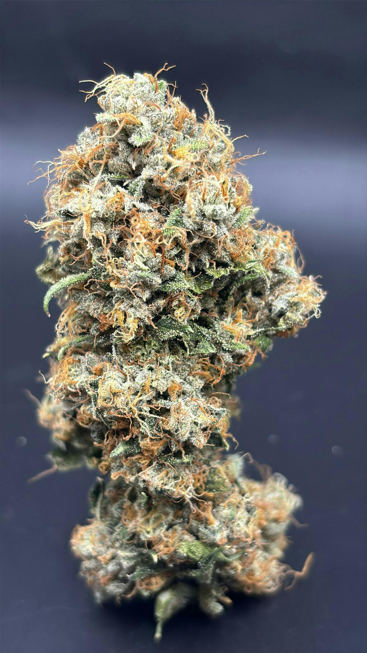 Crystal Collection - $100 OG | Big Buds | 3.5g - 1