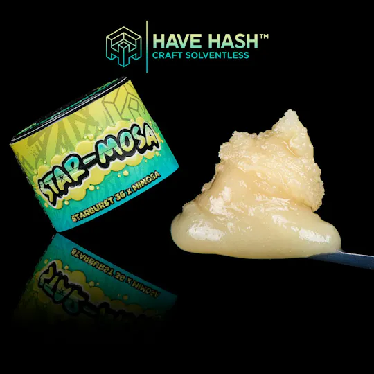 Have Hash - Star-Mosa | Tier 2 Live Rosin | 1g - 1